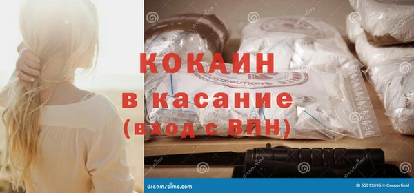 индика Волосово