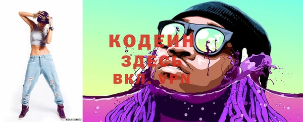 индика Волосово