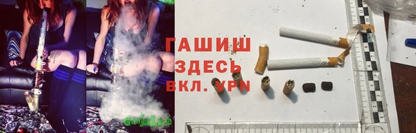 индика Волосово