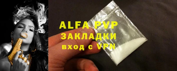 индика Волосово
