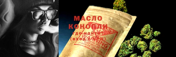 индика Волосово