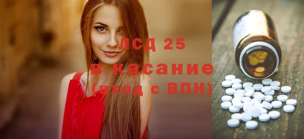 индика Волосово
