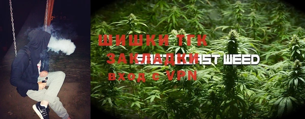 индика Волосово