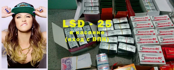 индика Волосово