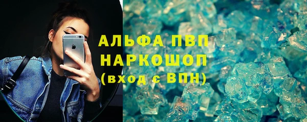 индика Волосово