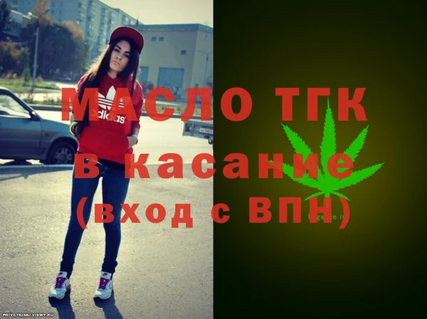 индика Волосово