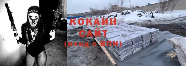 индика Волосово