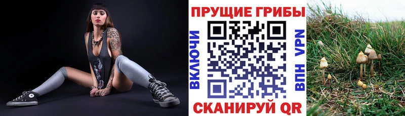 Галлюциногенные грибы GOLDEN TEACHER  Купить закладки  Чапаевск 
